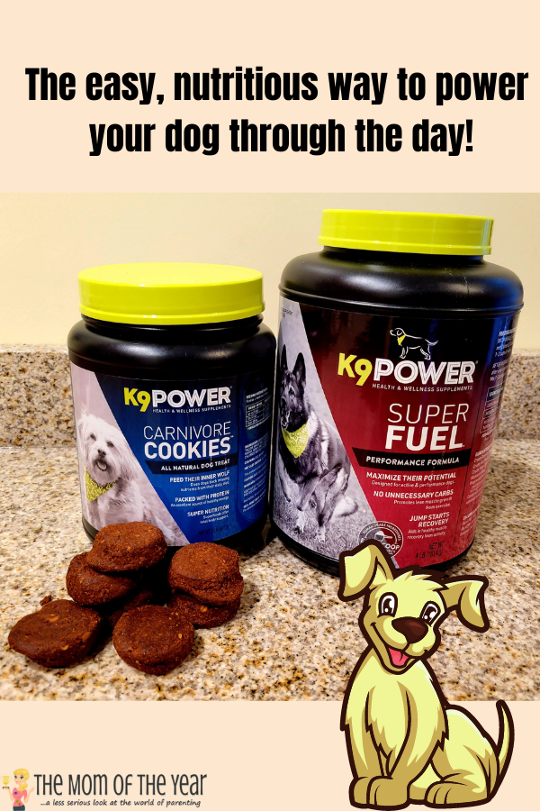 New year, new dog! Want a happier, healthier dog? Check out this smart way to keep your dog active and powering through his days!