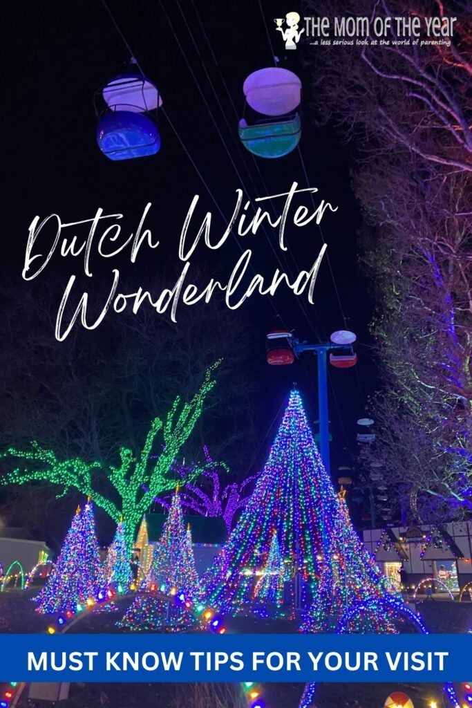 dutch winter wonderland