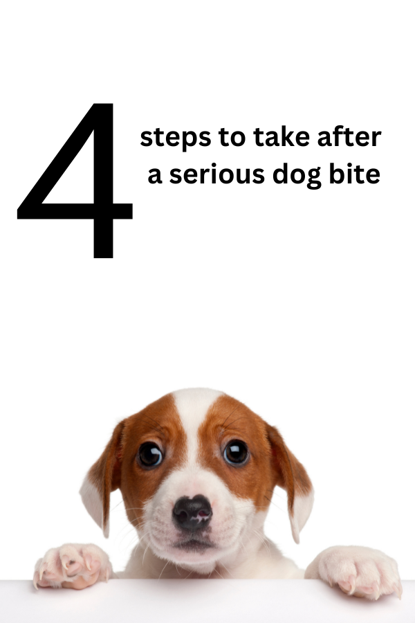 While many times a dog bite is harmless, in some cases, you will need to take action. Here's a step-by-step guide of what to do!