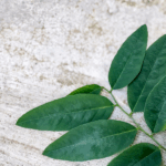 Not "bouncing back" after pregnancy? I promise, you aren't alone! Read this--it will help.