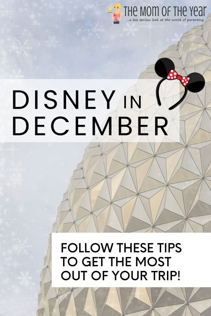 Disney World fireworks show in December with festive lights