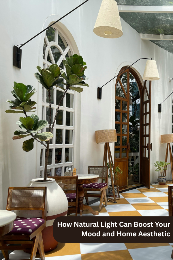 Natural light has so many benefits we don't even realize. Get the scoop on why it's so important and how to get it.